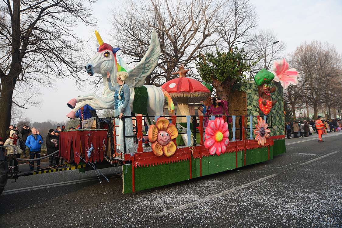 Sfilata carri Carnevale di Torino_135.jpg